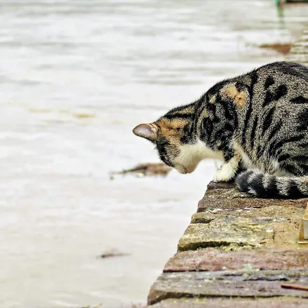 Haus Marientaler Au Gbr Penzion