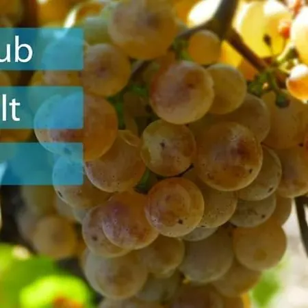 Pensionat Haus Marientaler Au Gbr