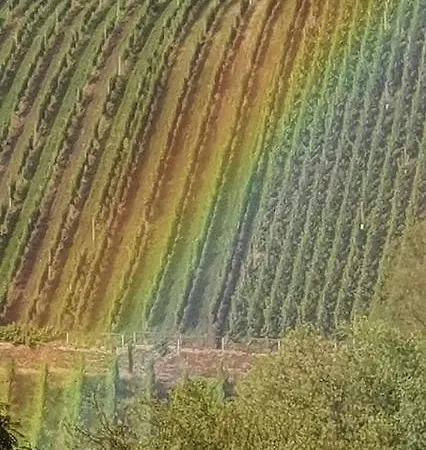 Haus Marientaler Au Gbr 4* Zell an der Mosel