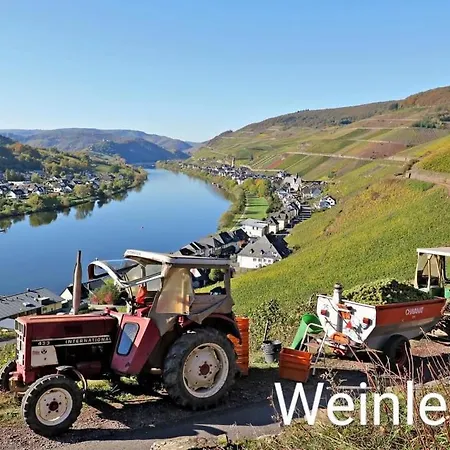 Haus Marientaler Au Gbr 4*