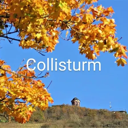 Haus Marientaler Au Gbr Zell an der Mosel