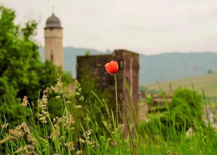 Haus Marientaler Au Gbr Penzion 4*