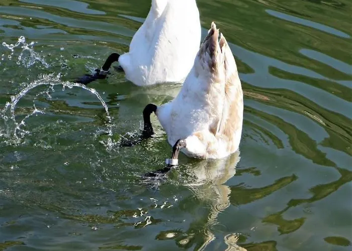 Haus Marientaler Au Gbr Penzion 4*