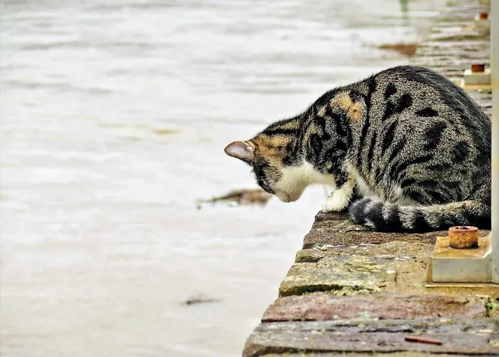 Haus Marientaler Au Gbr Penzion