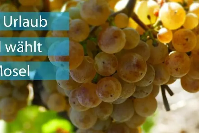 Penzion Haus Marientaler Au Gbr