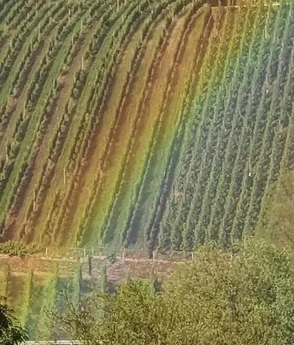Haus Marientaler Au Gbr 4* Zell an der Mosel