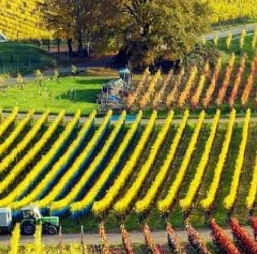 Haus Marientaler Au Gbr